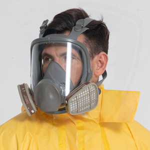 6800 Full Face Respirator Gas Mask For Painting Spraying